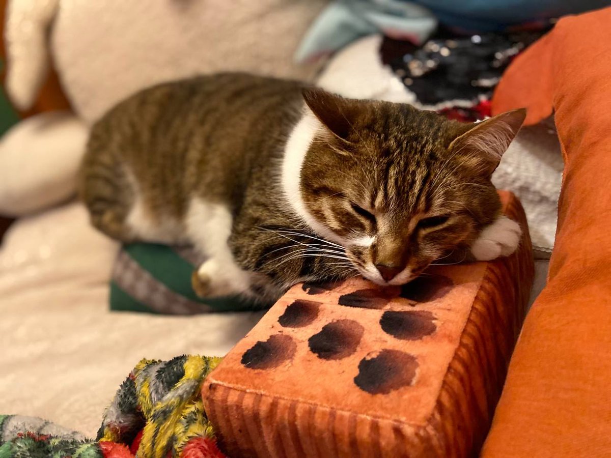 Меховое ОПГ Алексеевское внимательно слушает особо важное мнение