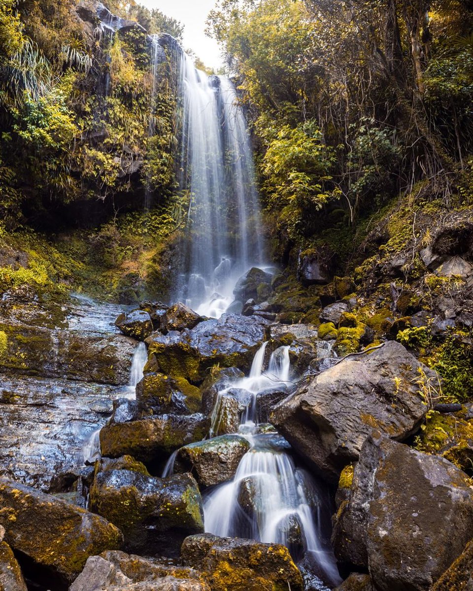 Freewell_Gear's tweet image. Uncover hidden wonders through the camera lens and let the magic unfold with the perfect filters.  

📸 @by_tori 

#ExploreWithGear #Freewell