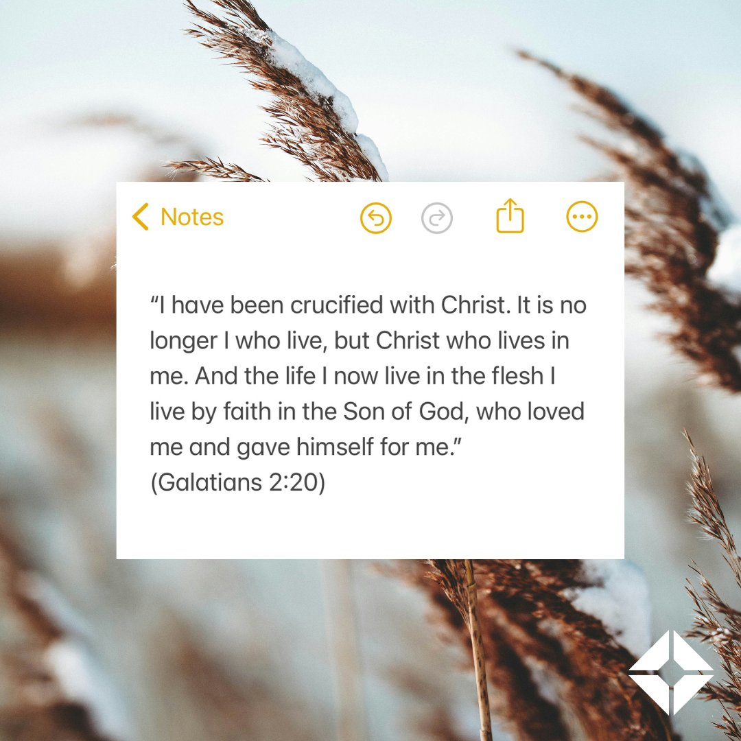 Englewood tweet media