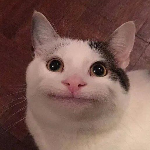 dango tweet media