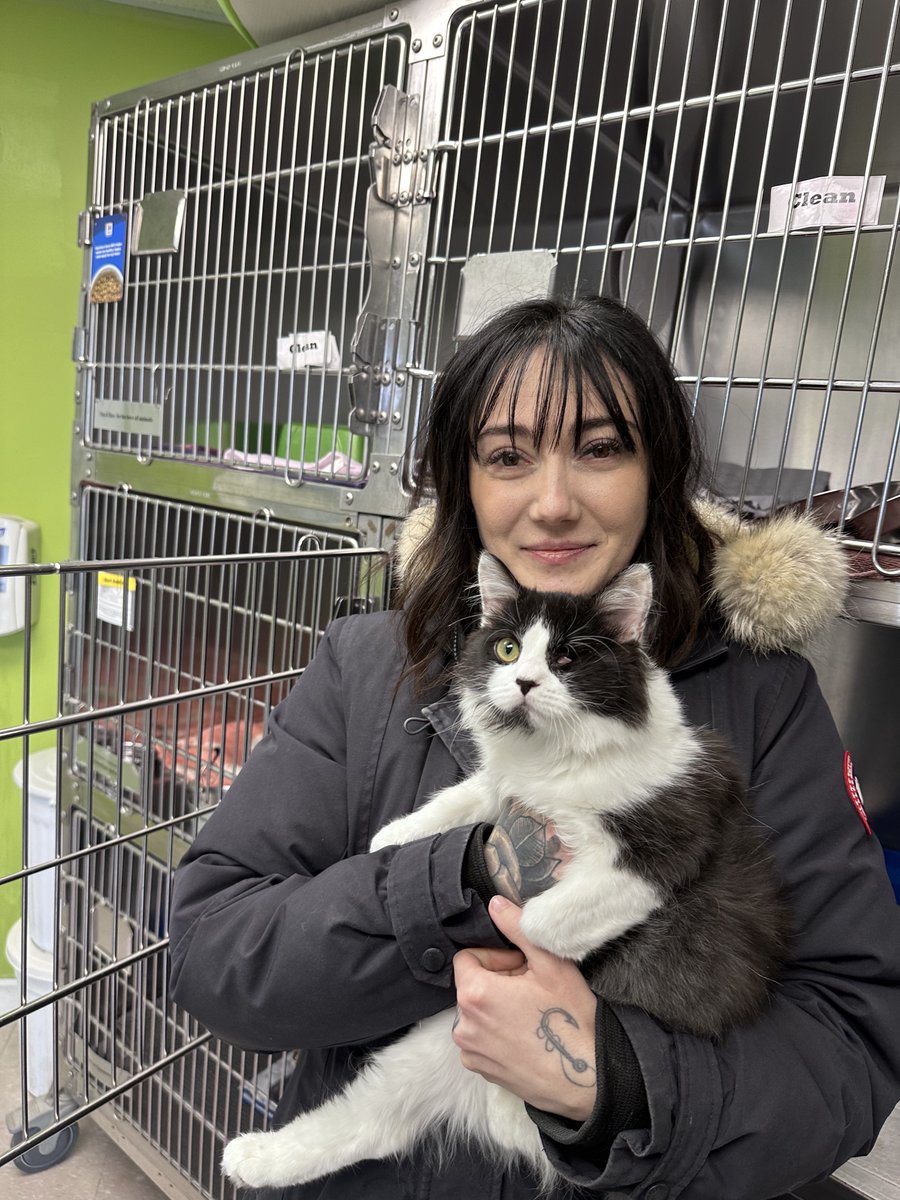 Big hearts, furry friends, and a check to match! 💰✨We had a purr-fect day at the Dartmouth SPCA, delivering a $1490 cheque & donations from our December fundraiser with the amazing @yourway_Auto team! 

#steeleadvantagefinancing #steeleautogroup #whysteeleauto #steelegivesback