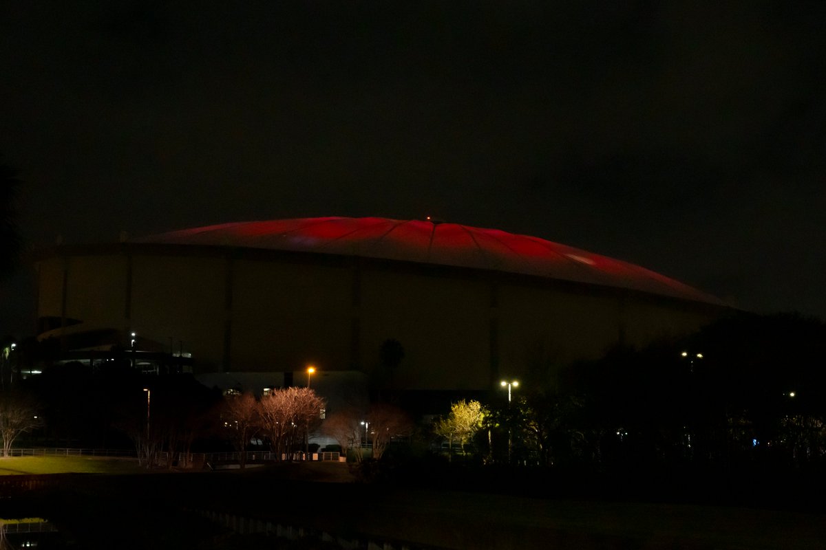 Saturday night WWE will be hosting the Royal Rumble at Tropicana Field in St. Pete, FL which has a capacity of 25,000.

If The Trop was in WOO it would be a level 8 arena or a Garden.
#woo #woogame <a href="/wrestorgonline/">Wrestling Organization Online💪</a>