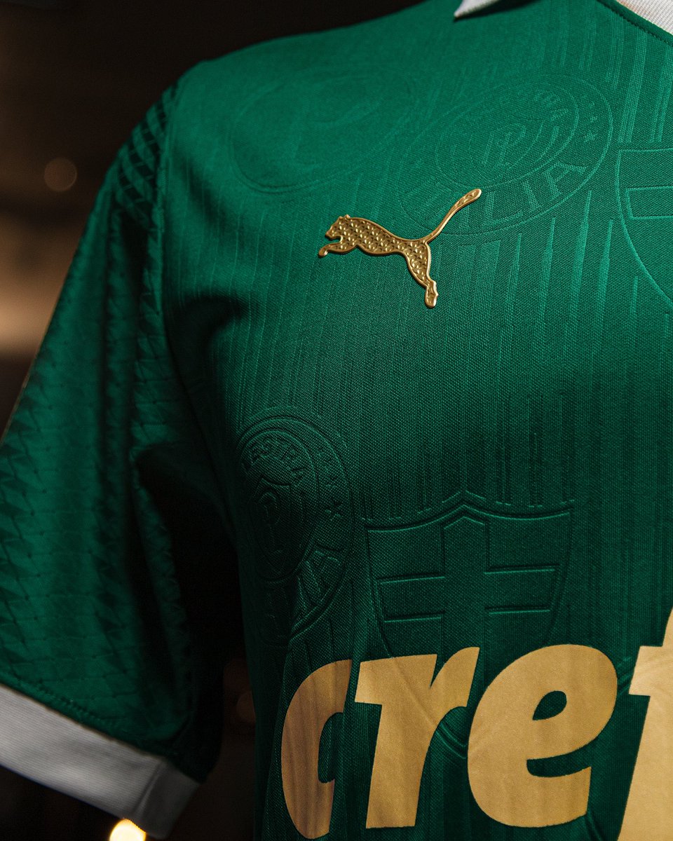 pumafootball's tweet photo. The new @Palmeiras Home kit is here and it’s a beauty 💚🤩

#AvantiPalestra https://t.co/5VfbqygA8e
