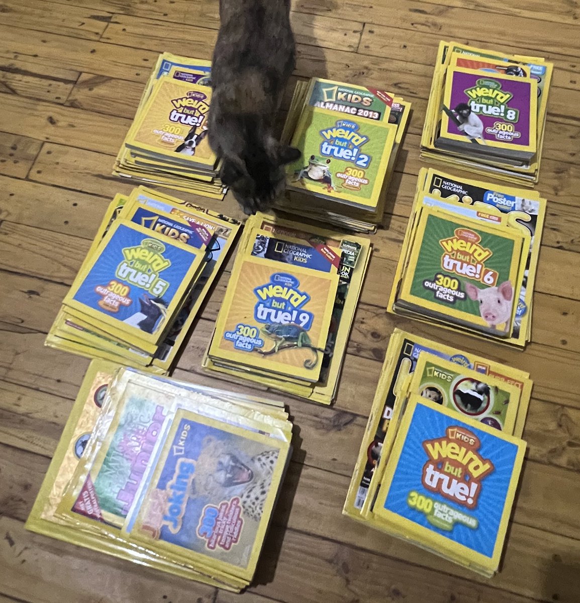 NG Kids/ Little Kids/ Weird but True sudah dibagi rata utk para peminat, siap dikemas (kucing excluded).