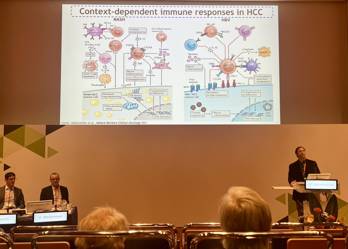 Daniel Hartmann (@hartmanndaniel5) on Twitter photo Just heard an enlightening presentation by Mathias Heikenwälder at the GASL-associated symposium in Essen, Germany. Insightful exploration of the interplay between anti-tumorigenic and pro-tumorigenic immune responses in the context of MASH. #GASL #CancerResearch
<a href="/CancerInflam/">Mathias Heikenwälder</a> Just heard an enlightening presentation by Mathias Heikenwälder at the GASL-associated symposium in Essen, Germany. Insightful exploration of the interplay between anti-tumorigenic and pro-tumorigenic immune responses in the context of MASH. #GASL #CancerResearch
<a href="/CancerInflam/">Mathias Heikenwälder</a>
