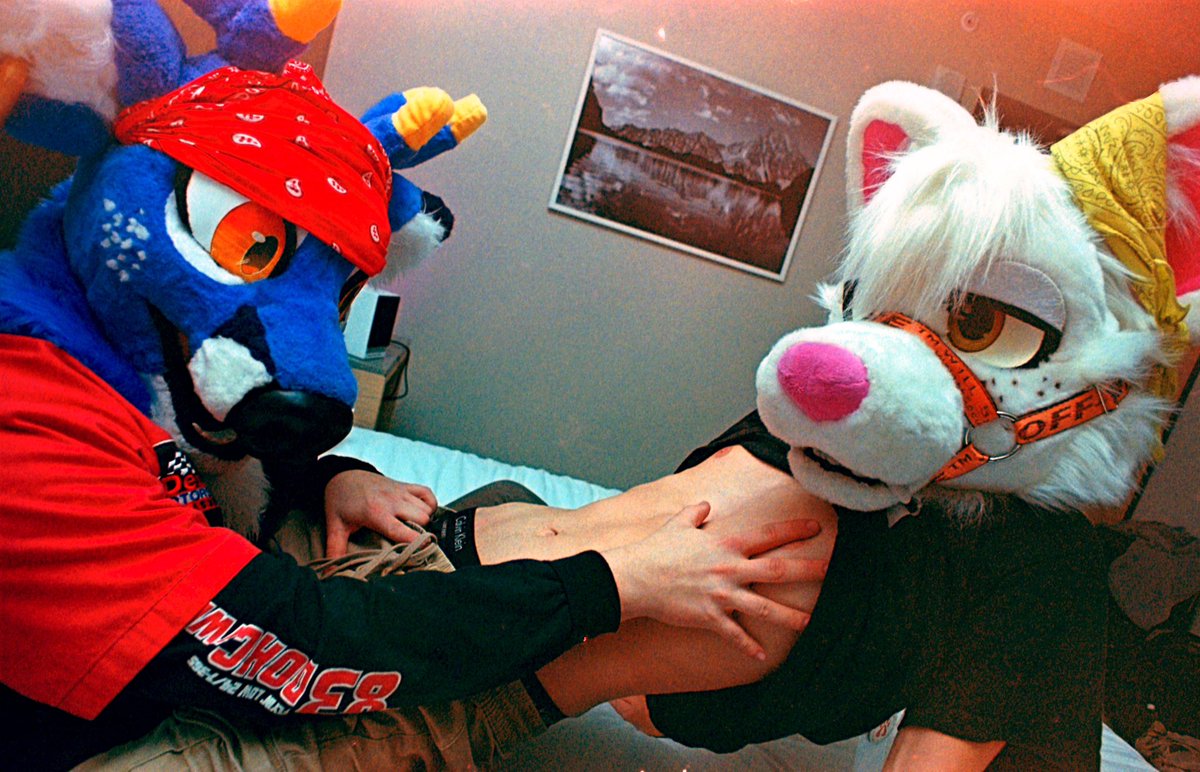 Yeah we zesty, keep scrolling. 
.
📸: @grrrolar is very talented btw also it’s #FursuitFriday