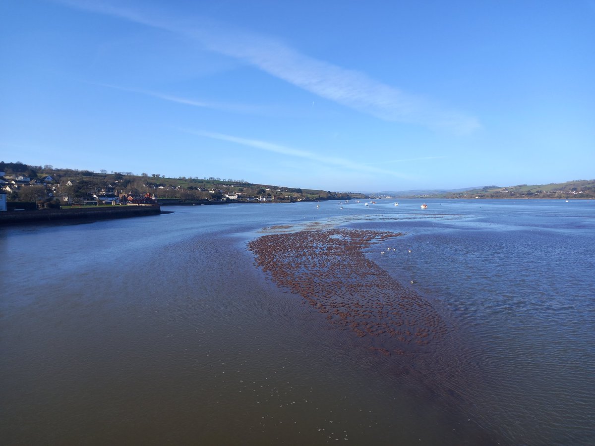 Jennie Roberts tweet media