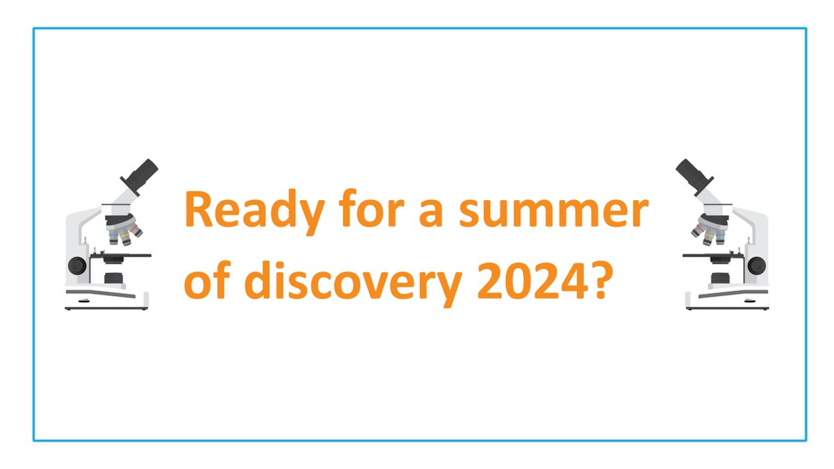 FPERUnit's tweet image. 🔬Do you have basic skills in laboratory work and an interest in sustainable materials, catalysts, or construction materials? 

🔎Check out the four University Trainee positions at our unit in summer 2024: oulunyliopisto.varbi.com/en/what:job/jo…