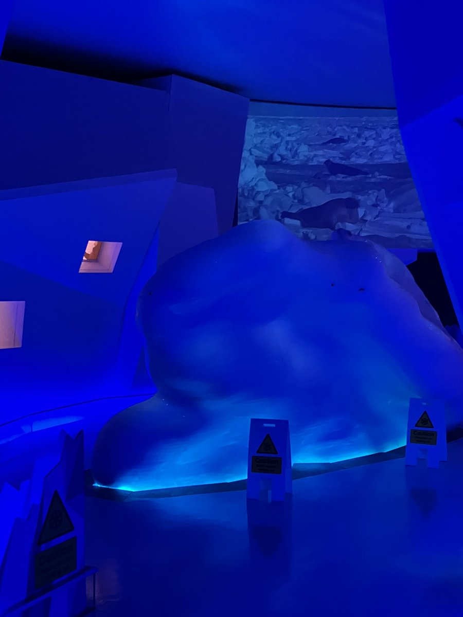 Mrs Russell tweet media