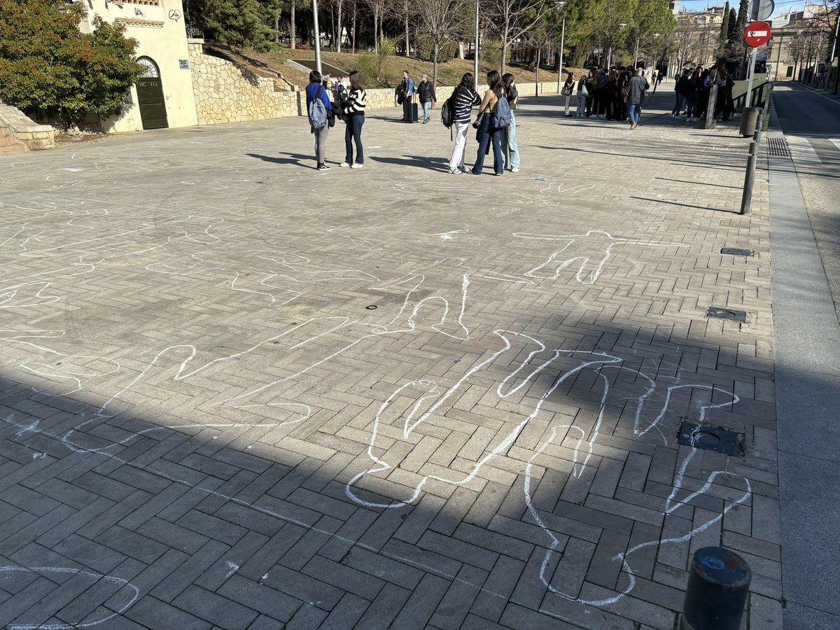 Tramuntana Televisió tweet media