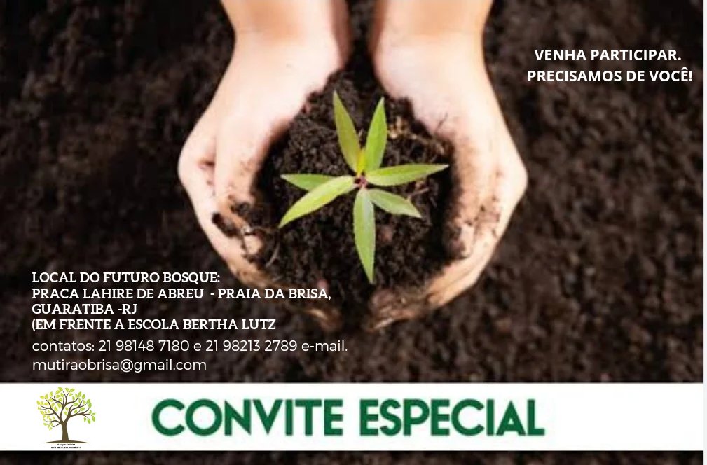 Alexpanrj's tweet photo. Venha participar da criação do Bosque Frutífero da Praia da Brisa
Contatos: 21 98148 7180 e 21 98213 2779
e-mail: mutiraobrisa@gmail.com       Participem e ajudem na divulgação! https://t.co/JvJ5CJplie