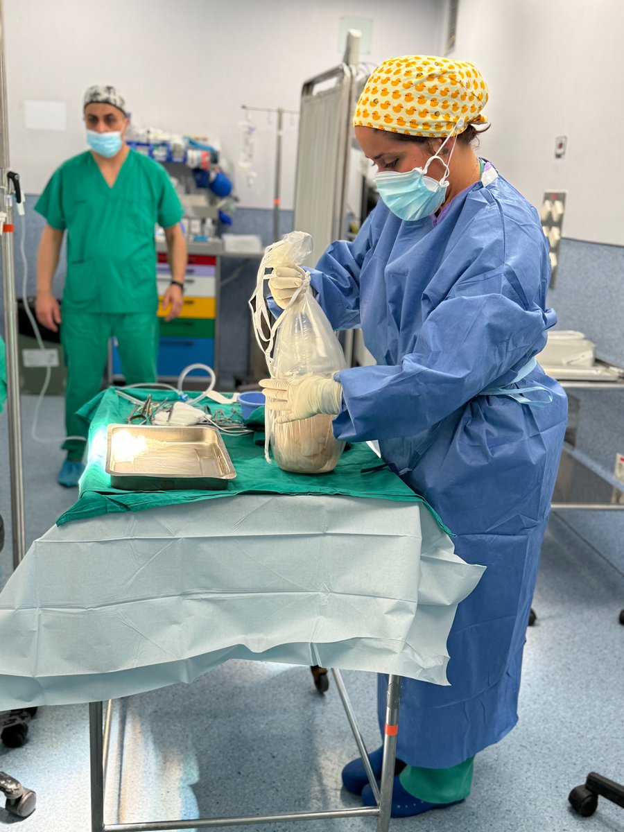 GVADrPeset's tweet photo. ¡Gracias a profesionales, donantes y familias por hacerlo posible y cambiar la vida de tantas personas! 👏 https://t.co/aMhFru79c5