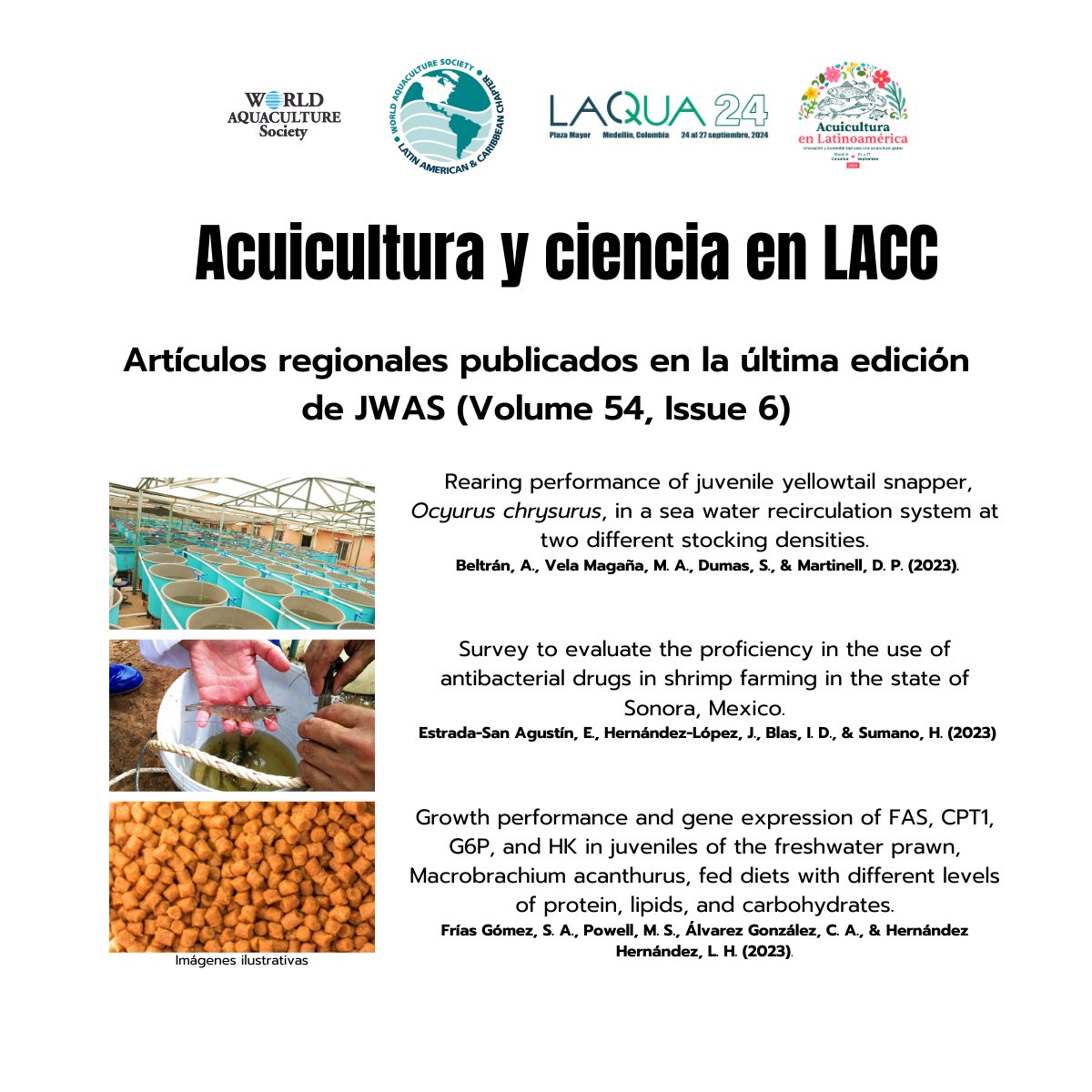 Presentamos los artículos científicos realizados en la región y publicados en el último número de Journal of the World Aquaculture Society (JWAS, Volume 54, Issue 6) a los cuales puedes acceder gratuitamente en el siguiente link:   onlinelibrary.wiley.com/toc/17497345/2…
