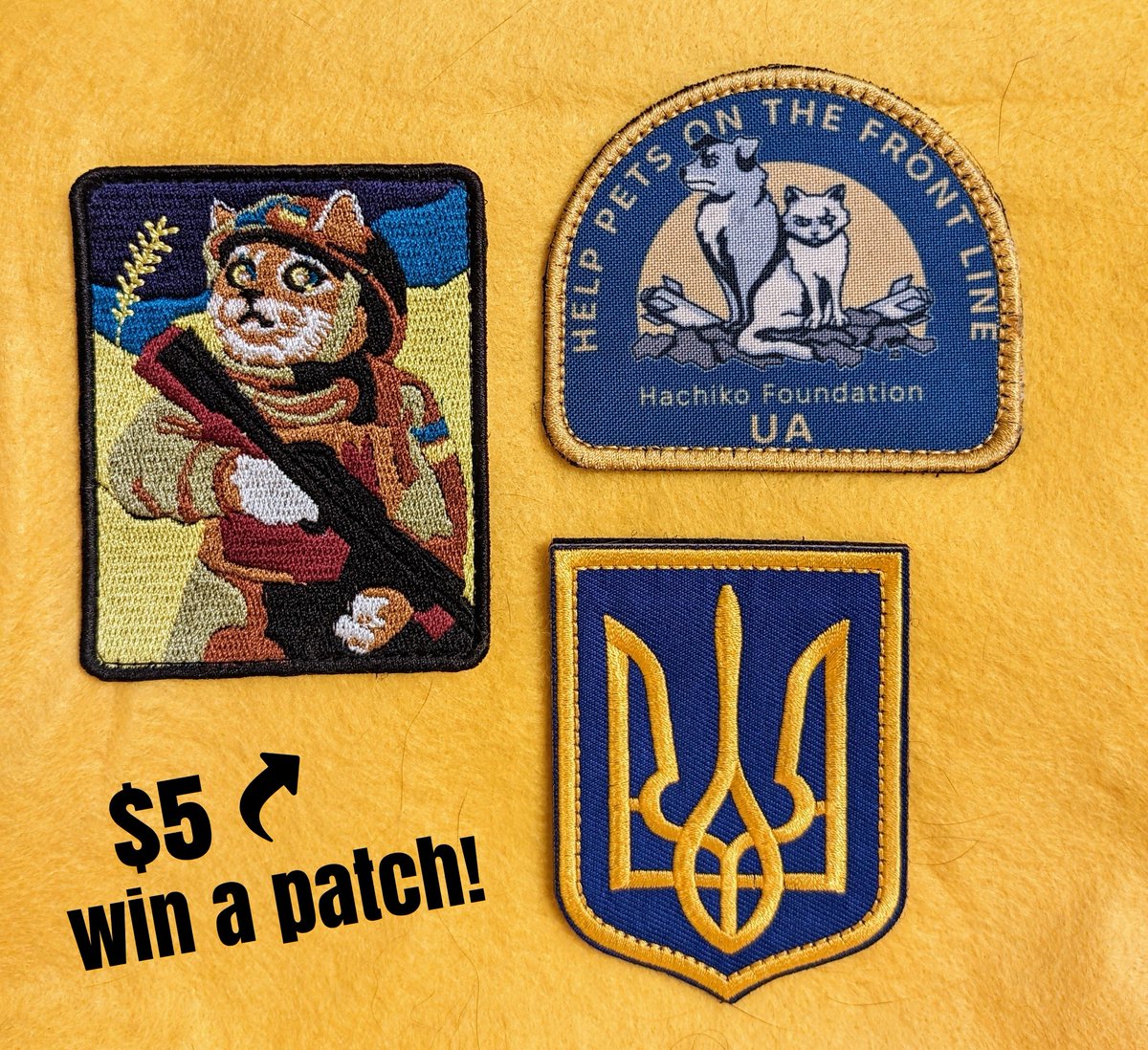 joliemackdotcom's tweet photo. ๐ฅ Friday Fiver $5 pop up #NAFOCatsDivision raffle!
Hurry! Let's raise kibble kash for Snizhka. To enter, send $5 to @catsonmars_ua to assist the Kyiv shelter with her care.
Donate, post screenie, yer in! ๐
https://t.co/cxzl3U49uY
The draw is Caturday, Jan 27 ๐ผ Tomorrow! https://t.co/wrzLQ9gLWj