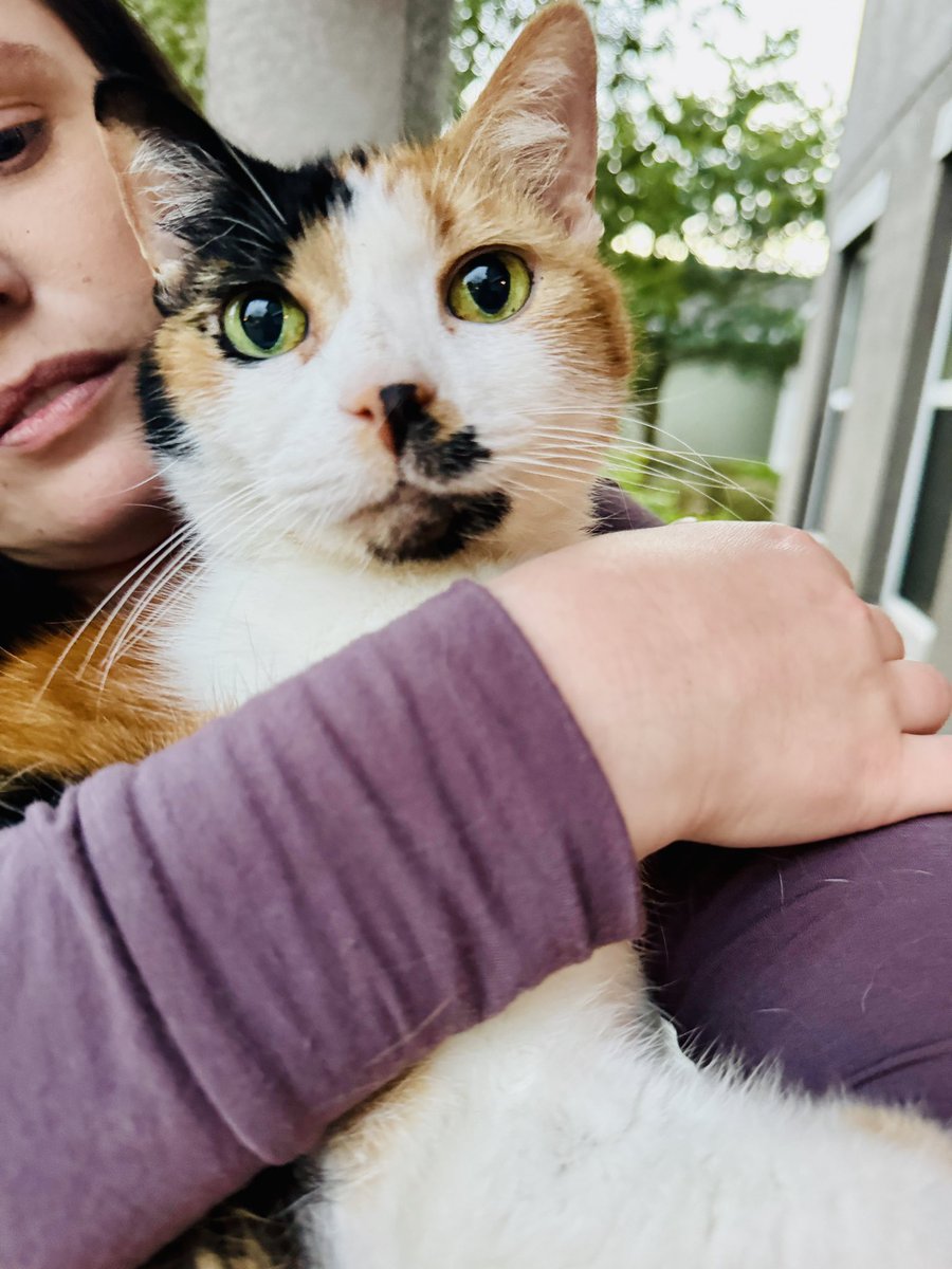 Starrfold tweet media