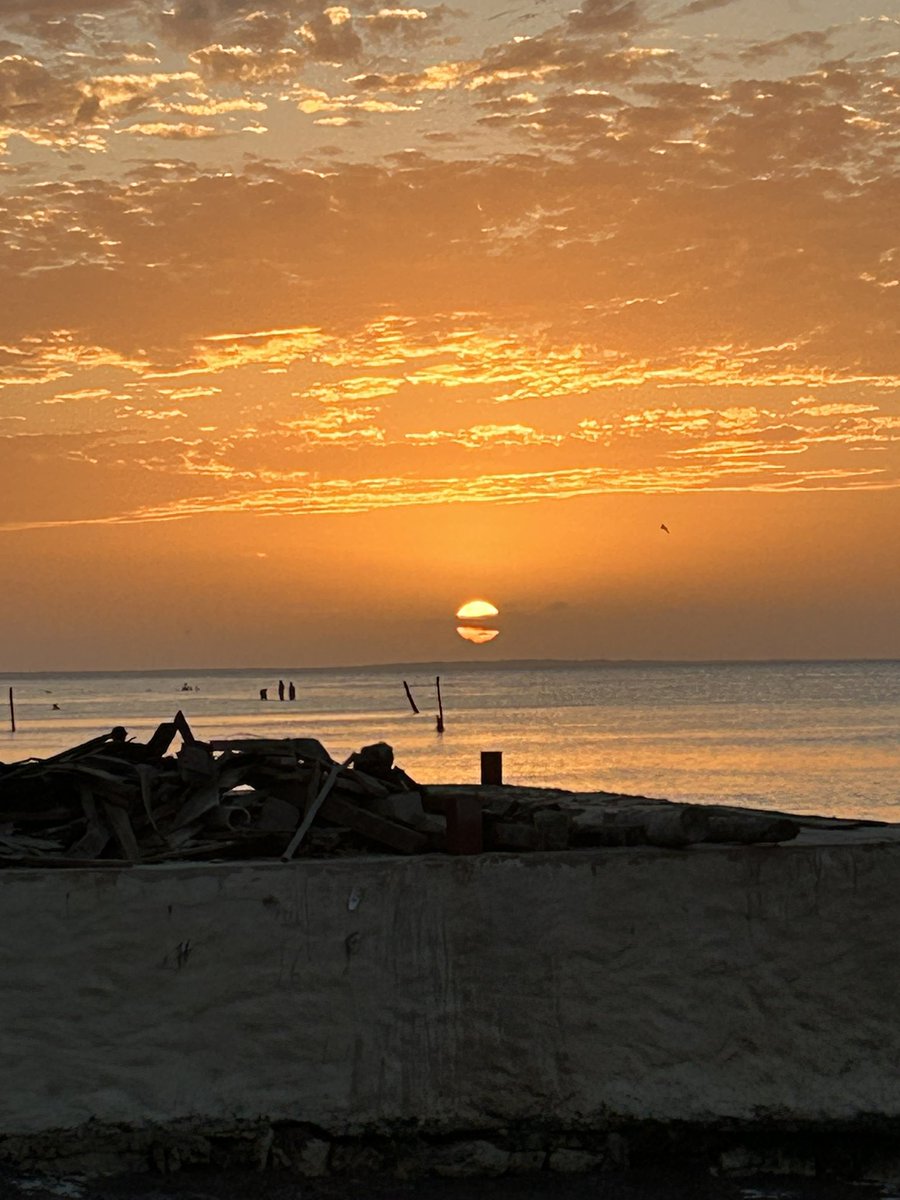 Susan Jacobs tweet media