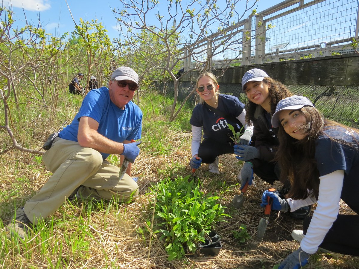 randallsisland's tweet image. Passion meets purpose at Randall's Island Park. ✨ Join our dedicated team and play a vital role in bringing this treasured green space to life.

Explore exciting roles, make a lasting impact, and apply today: bit.ly/3LG4J7I

#NYCparks #TeamRIPA