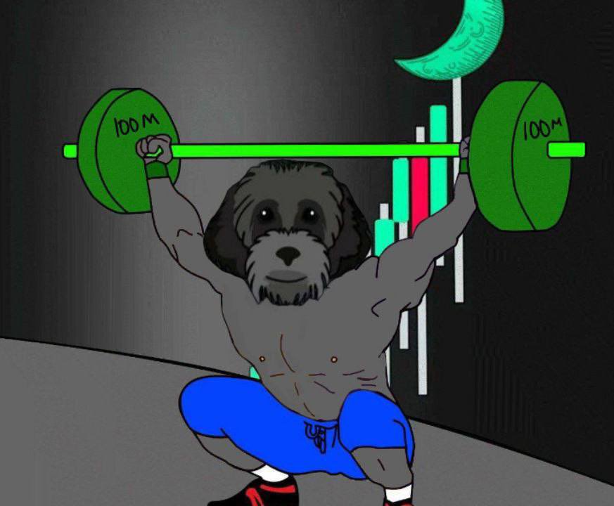 Adding more $MYRO here

Real fun hasn’t even begun yet.. the bullrun hasn’t started yet, when millions and millions of new people start to join 

$MYRO will be one of the top on that list

Billions and billions coming 💹

<a href="/MyroSOL/">Myro | Solana Chain 🐕‍🦺</a>