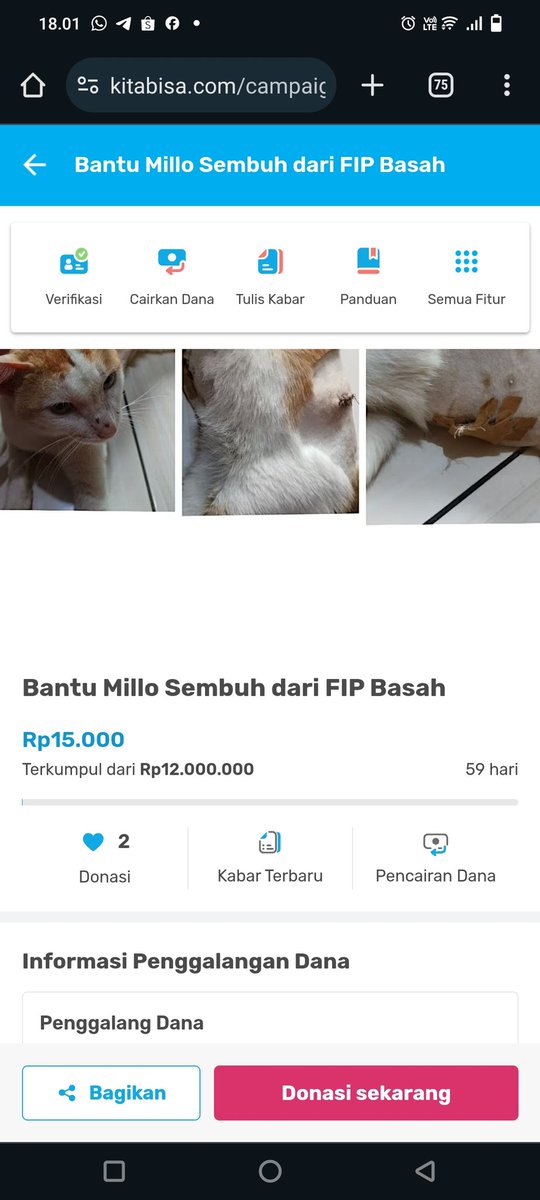 icautary's tweet photo. @prillyyla @fannyghassani @khoc @majeliskucing @CatWorkers Kak tolong bantu up dong buat millo yang terkena FIP Basah 🙏https://t.co/imNC2l3vPy https://t.co/wMySs6ZTzS