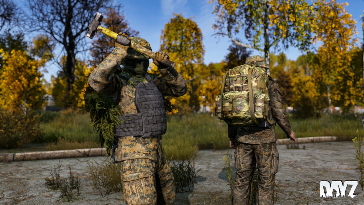 DayZ 🖥 🎮 ❤️ tweet media