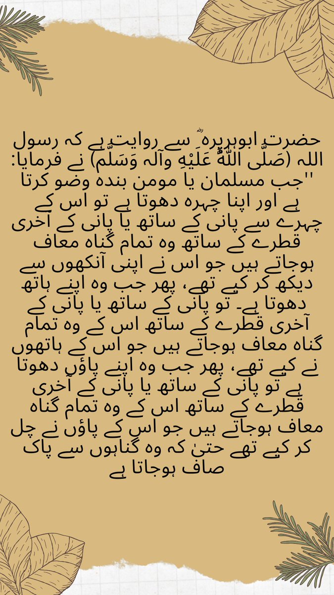 Hamza sial🇵🇰🇬🇧 tweet media