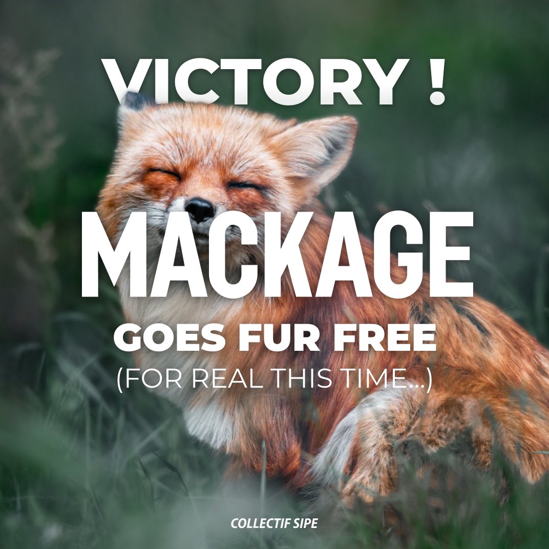 collectifsipe's tweet photo. VICTORY! MACKAGE COMMITS TO A FUR FREE POLICY (For real this time!)
#Mackage #FurFree #CollectifSIPE #Fur #Fourrure #PETA #Fur #Antispecism https://t.co/LOJaDYkH3d