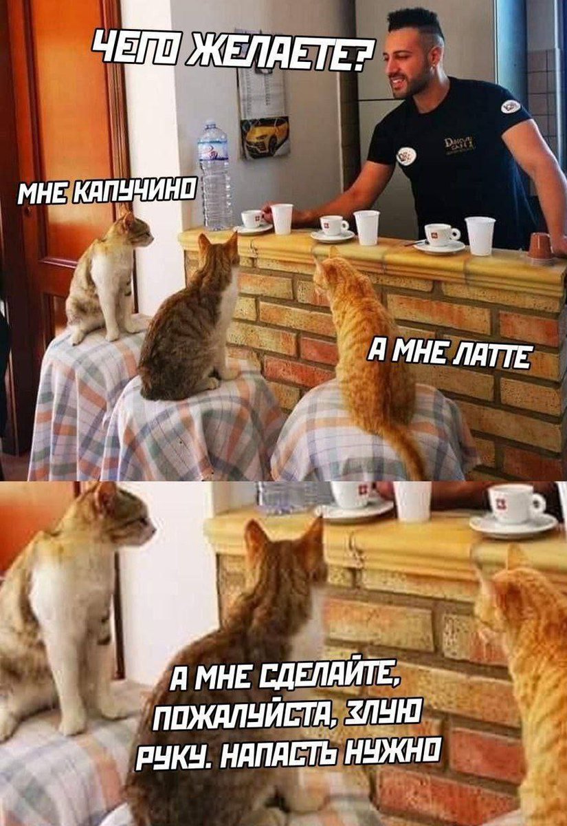 Дантес (@dantesdmitriy) on Twitter photo 