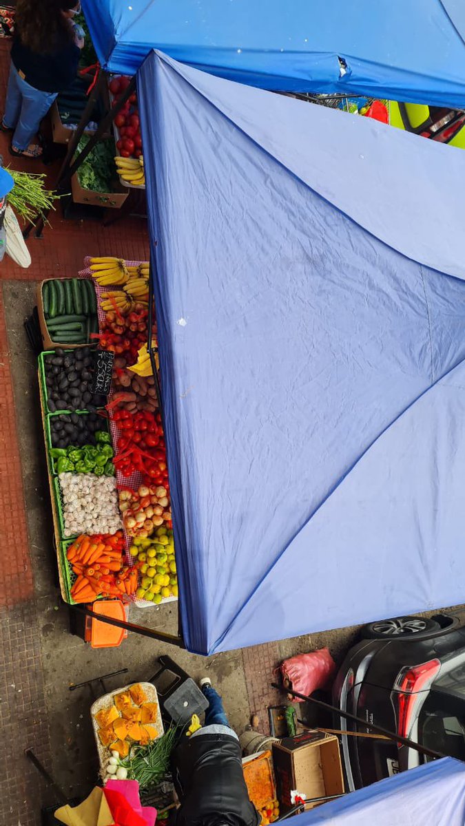 Félix 🐱 The cat tweet media