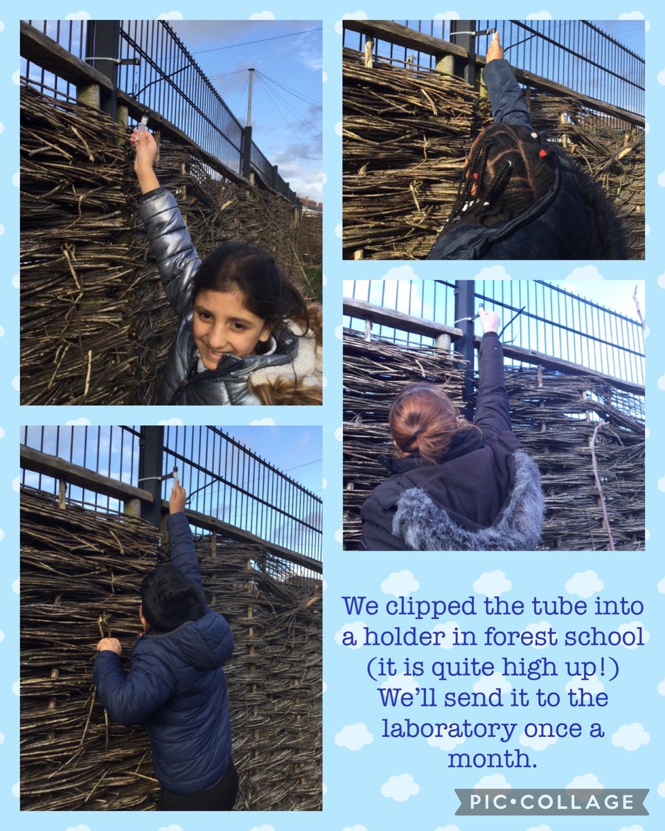 HatherallMrs's tweet photo. @5tAndrews is taking part in the @NewportCouncil schools air quality monitoring project. It will measure nitrogen dioxide levels. We’ll be able to compare our monthly results and compare our annual average with other schools in Newport. #SAPSEco #SAPSEIC @EcoSchoolsWales https://t.co/g9jWQzhFCJ