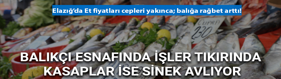 Elazığ’da et fiyatları cepleri yakınca; balığa rağbet arttı! 
elazigfirat.com/elazigda-et-fi… 

#elazığ #elazığhaber #kırmızıet #balık