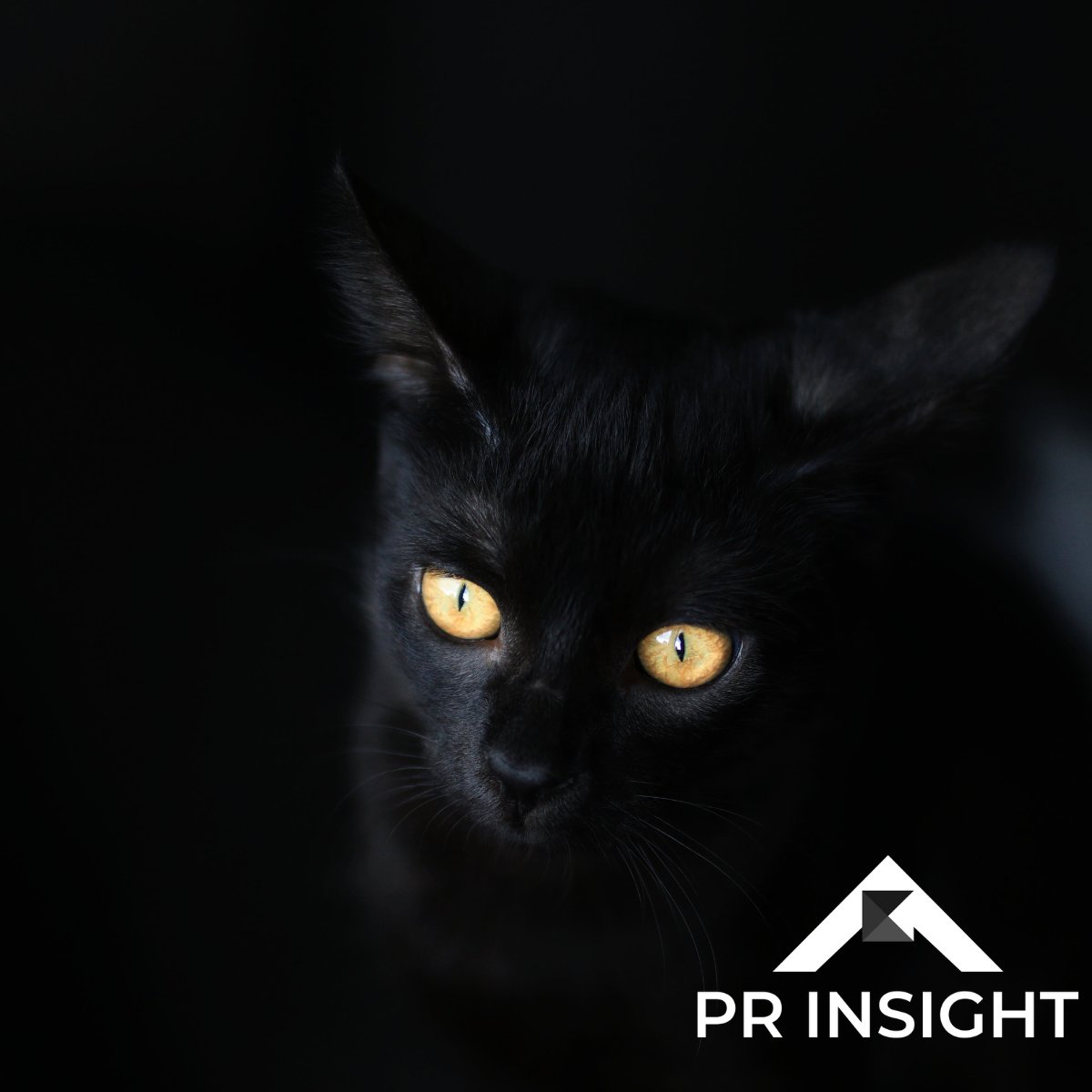 PR Insight tweet media