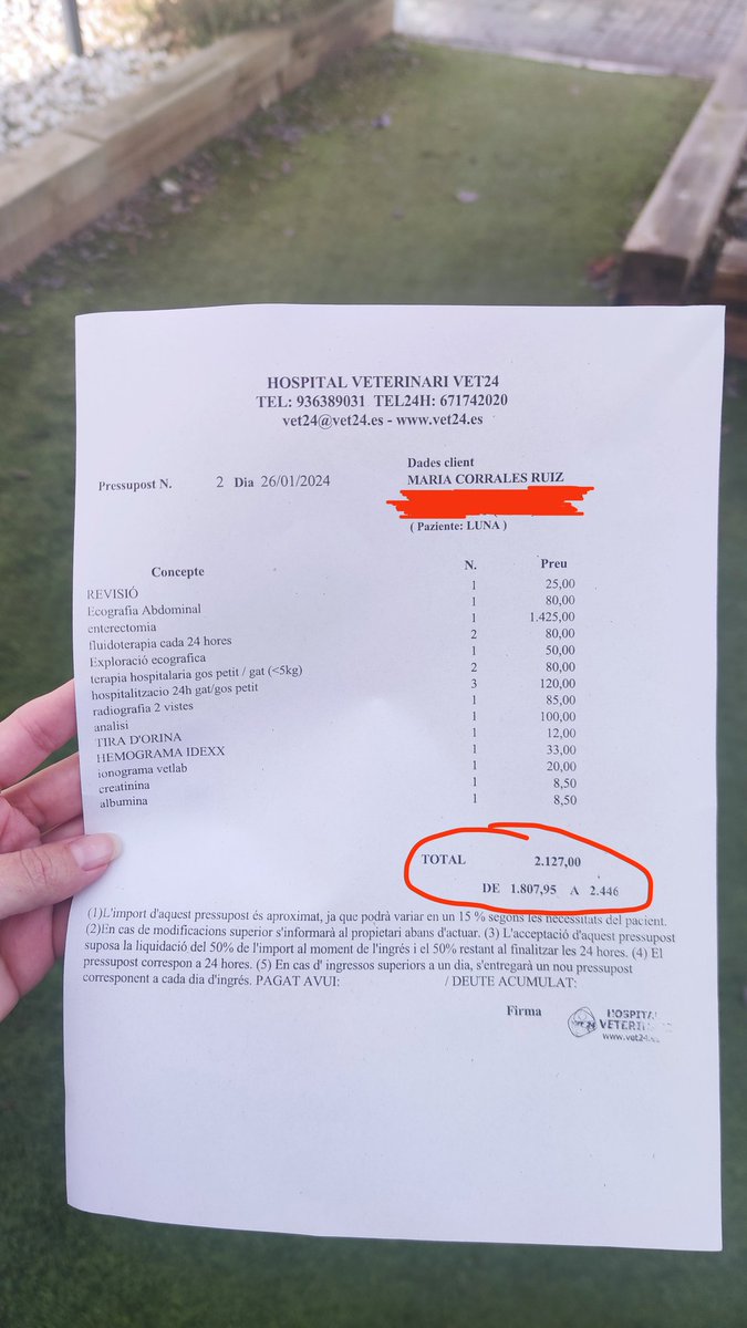 Meryniix's tweet photo. MI GATA NECESITA UNA OPERACIÓN URGENTE
He llevado a Luna al veterinario porque estaba vomitando todo lo que comía, allí le han visto un objeto extraño en el intestino y se necesita operar.
Agradezco de corazón cualquier aportación y si podéis compartir

https://t.co/heL2i0BvLg https://t.co/70F4sGUBXX