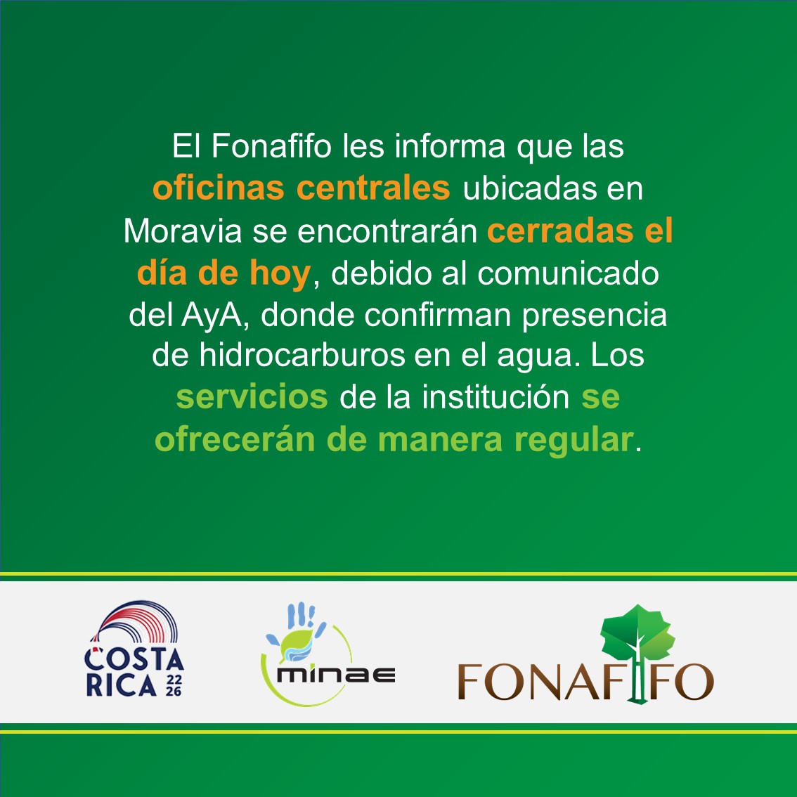 Fondo Nacional de Financiamiento Forestal tweet media