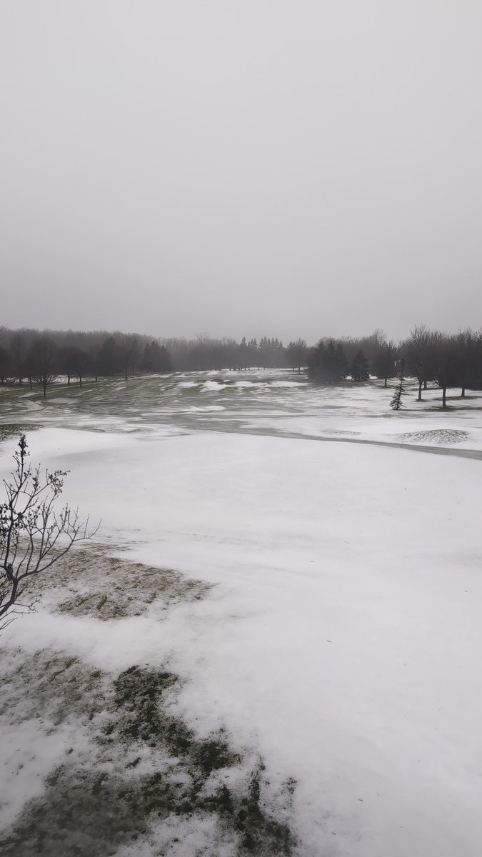 HiddenLakeTurf tweet picture
