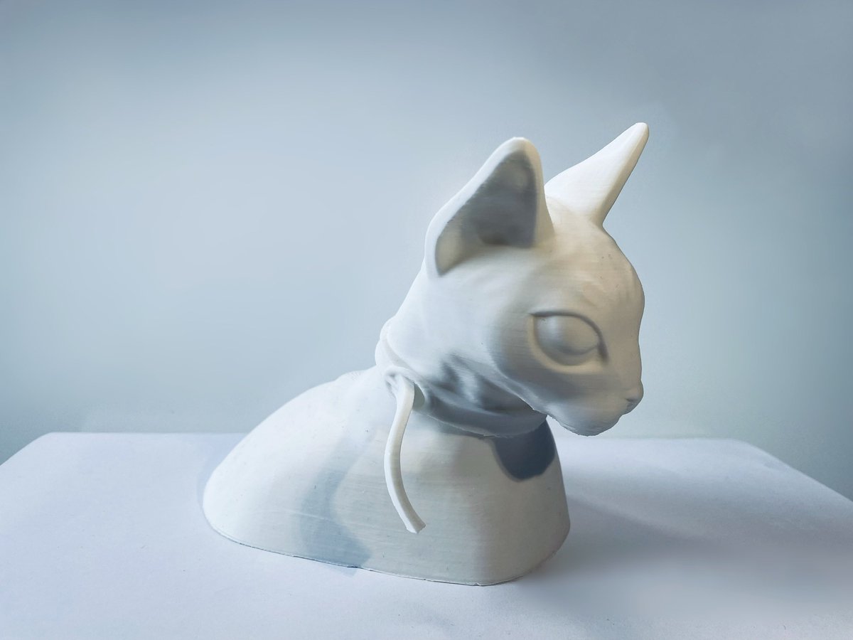 Roonca_studio's tweet photo. You can also find my 3d models on my cults3d page if you want to print and paint them yourself. 

https://t.co/PtBEVceaJ6

#print #3dprint #3Dprinting #3DModel #3dmodeling #cat #3Dartist #PortfolioDay #nekopaint #ArtistOnTwitter https://t.co/5yaquJXce8