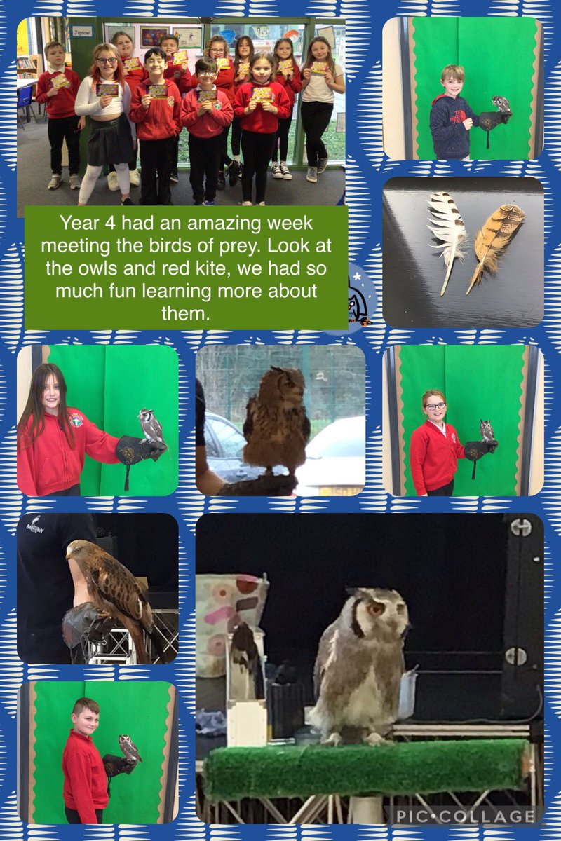 Maes Y Morfa tweet media