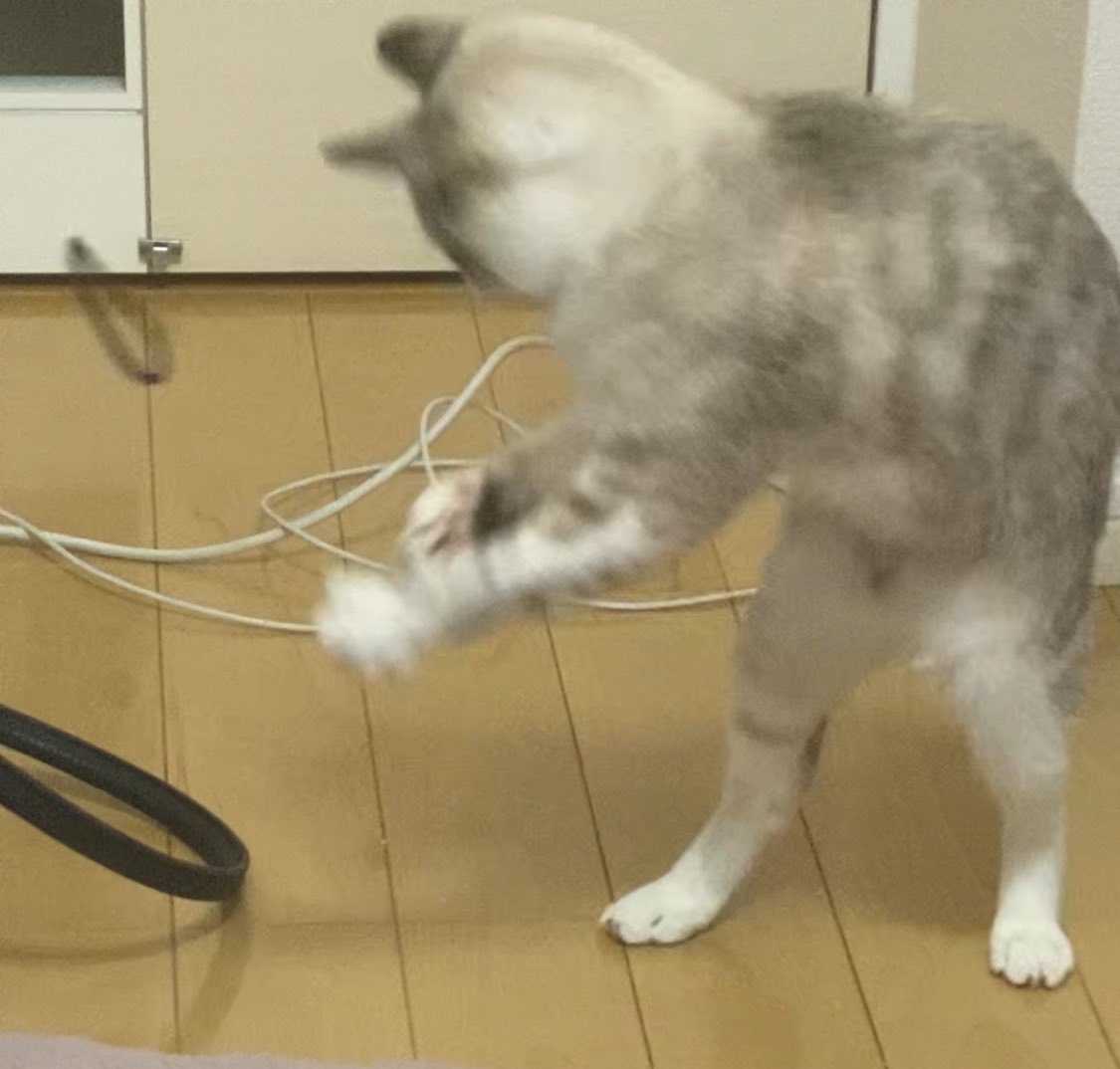 球地 tweet media