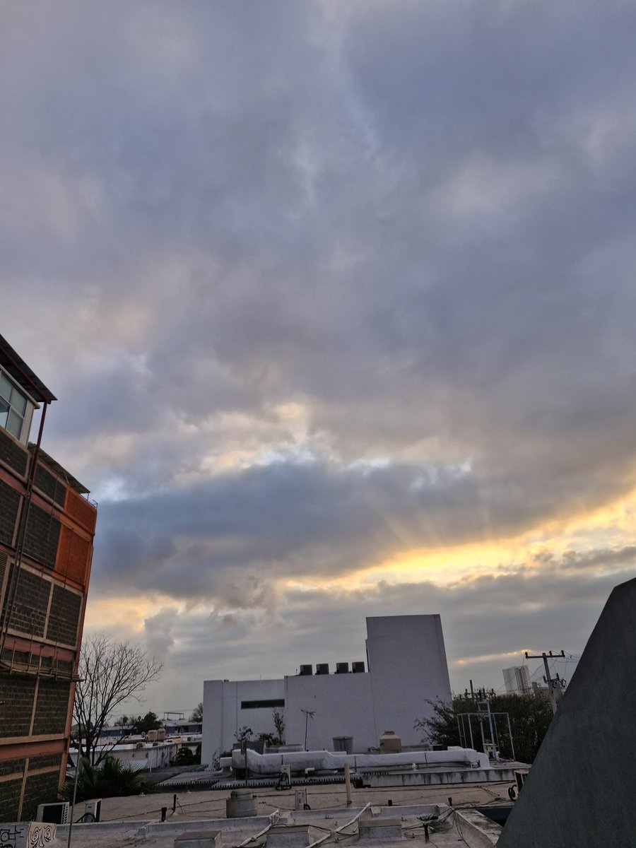 活 . @𝗹𝘀𝗴𝘃𝘁𝗵

     gm.