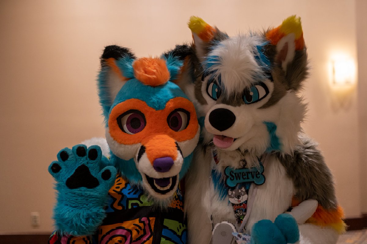 SwerveHusky's tweet photo. Happy Friday!
#FursuitFriday #furryfandom #furry  #fursuit
Please tag other suiter if you know them! https://t.co/ebnKARvpRK
