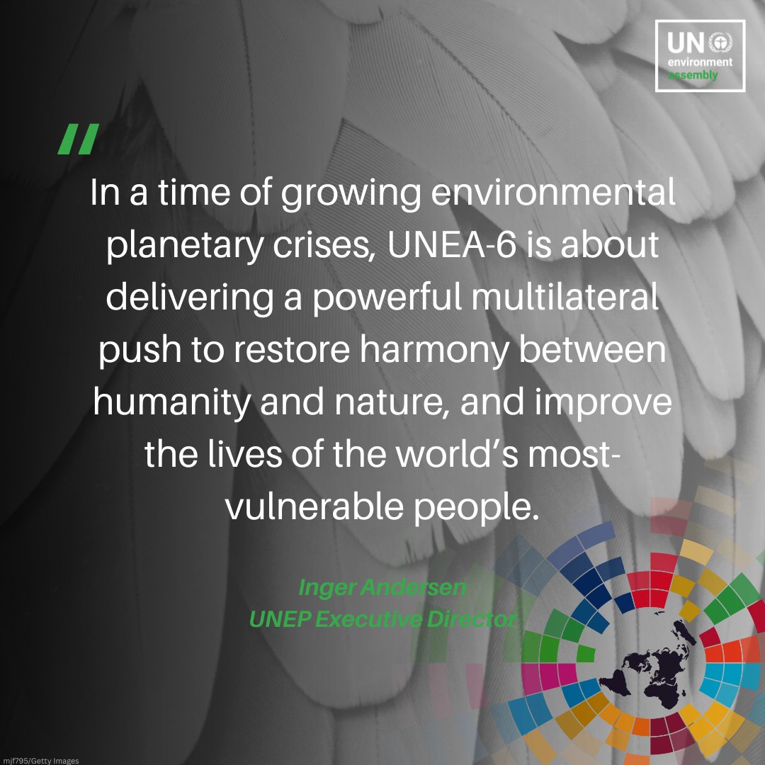 #UNEA6 will be a key moment for environmental multilateralism, focusing on tackling climate change, biodiversity loss, &amp; pollution through effective, inclusive &amp; sustainable actions.

Register here: unep.org/environmentass…