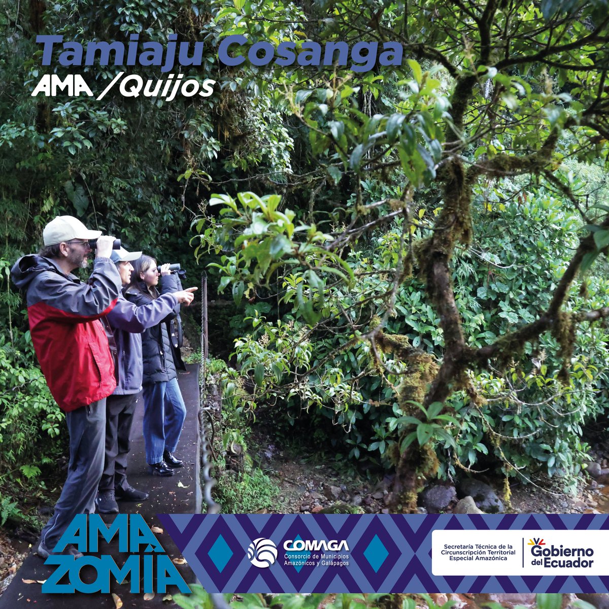AMA QUIJOS, cantón de la provincia De Napo, explora la majestuosidad de Cosanga, con ríos cristalinos, bosques exuberantes y una biodiversidad única, este enclave amazónico es ideal para amantes de la naturaleza y la aventura.