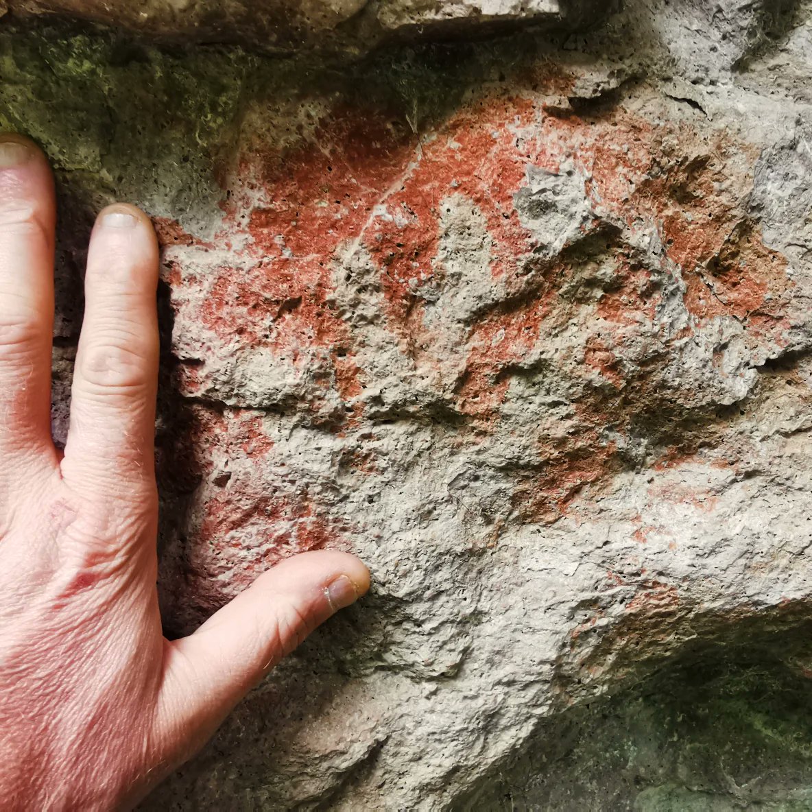 #Prehistoric handprints in a cave here in #Patagonia. Filming the natural world is great but ocassionally you stumble across something from our own distant past that makes you think very hard about where we've come from and where we might be headed. #WildlifeFilming #caveart