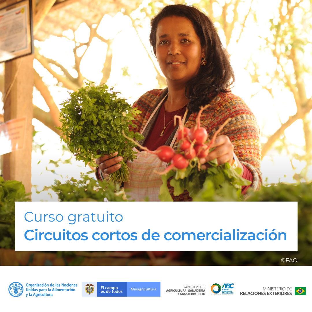 FAOAmericas's tweet image. 🎓 Curso gratuito de @FAOCampus

🍅🔗 Circuitos cortos de comercialización en la Agricultura Familiar

Hacia mercados inclusivos que valoren atributos sociales y ambientales

¡Matricúlate! ➡️ bit.ly/3sZmF4f

Junto a @MinAgricultura @FAOBrasilCoop