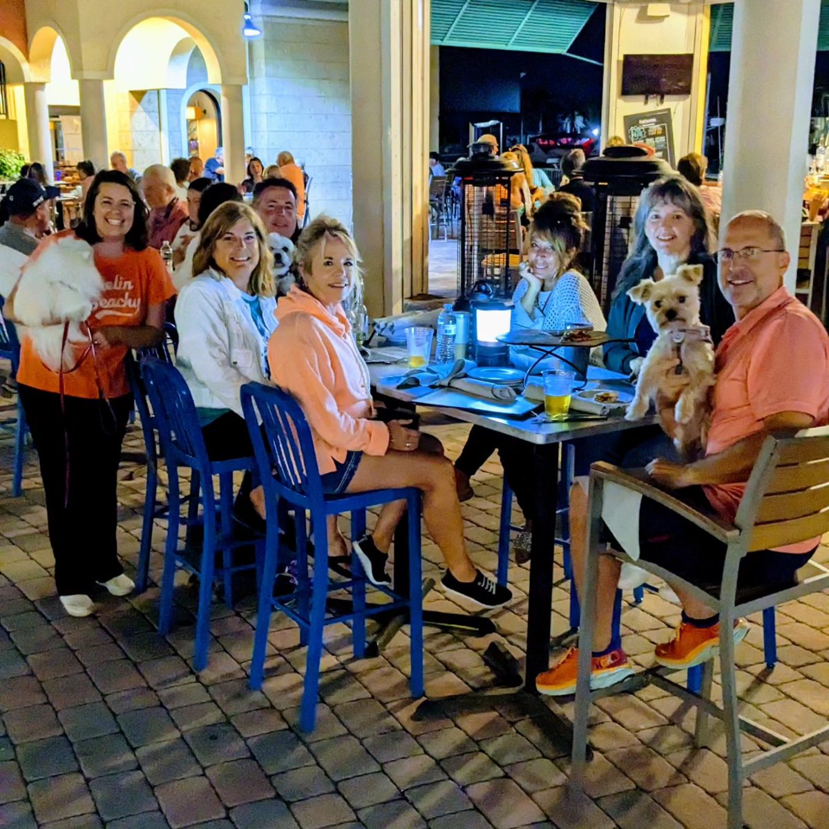 Know Nonsense Trivia tweet media