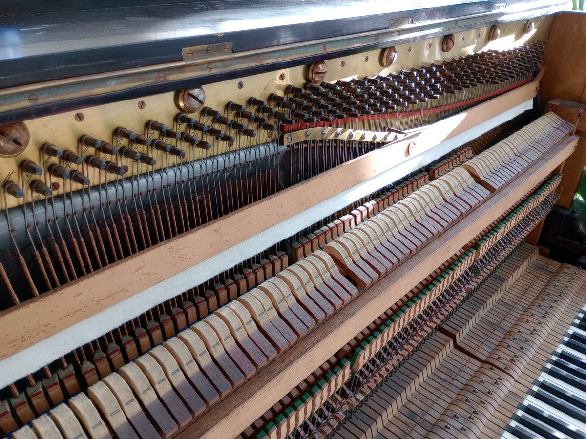 pianotunermjr's tweet photo. Tuning an antique 'Chappell' Upright Piano dating from 1894

https://t.co/3eKeqr7UlT

#telford #chappell #pianotuner #pianist #piano #music #musicians #leegomery https://t.co/oRhE9cZAai