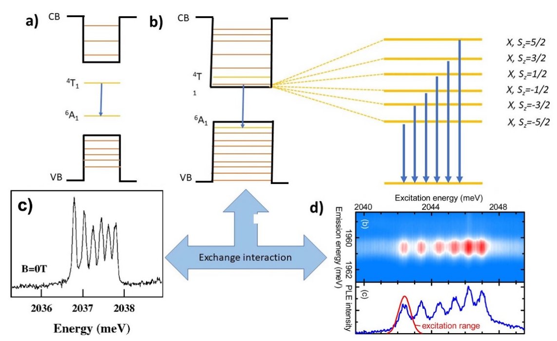 Now published 'Singly doped colloidal quantum dots as optically addressed nanopositionable qubits'. 😍

Check out the exciting new perspective 👉 ow.ly/Jm0m50Qushv

@UoMPhysics