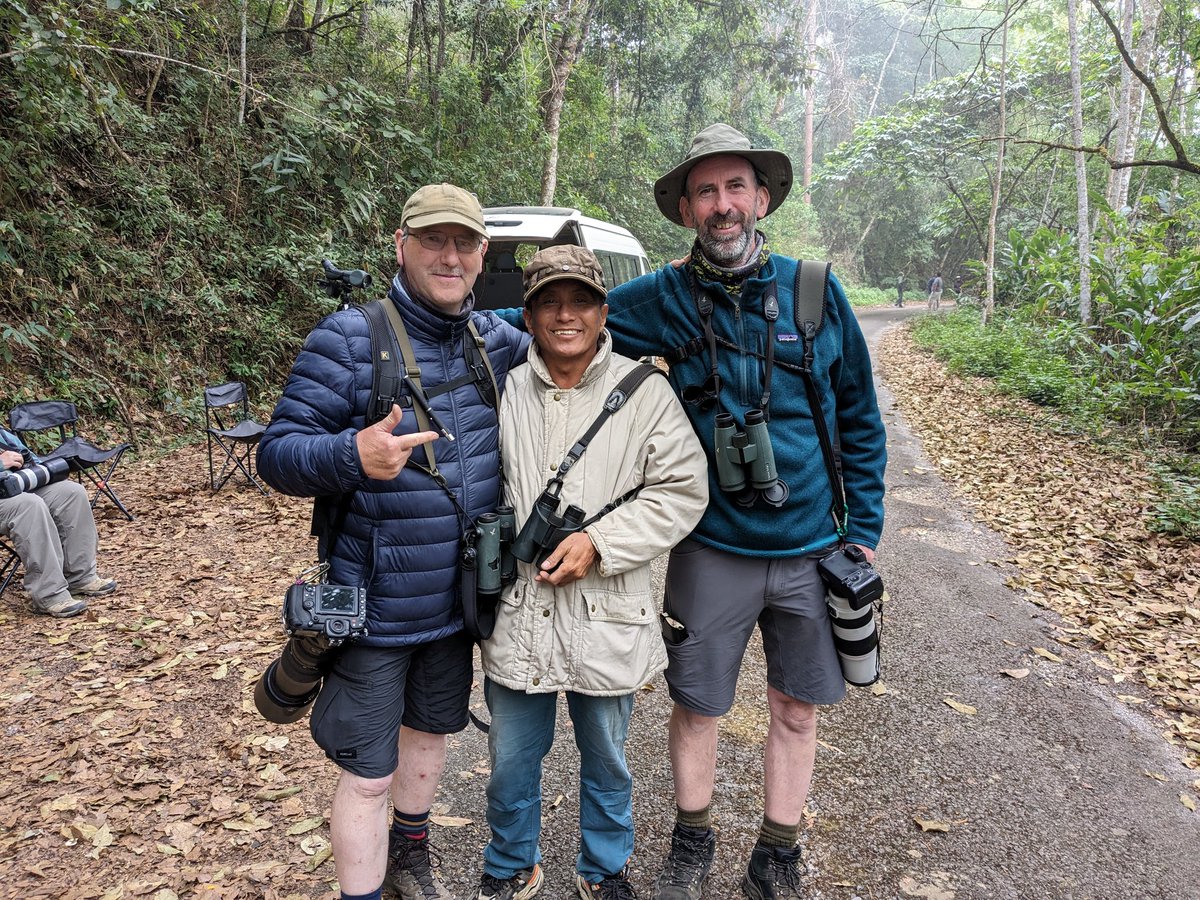 paul lynch (@woodlander37) on Twitter photo Very strong contender for bird of the trip, Hodgson's Frogmouth, found by our driver Chot, Wow!!!! ❤️ Thailand
<a href="/BrianCrunchie/">Brian E.Carruthers</a> Very strong contender for bird of the trip, Hodgson's Frogmouth, found by our driver Chot, Wow!!!! ❤️ Thailand
<a href="/BrianCrunchie/">Brian E.Carruthers</a>