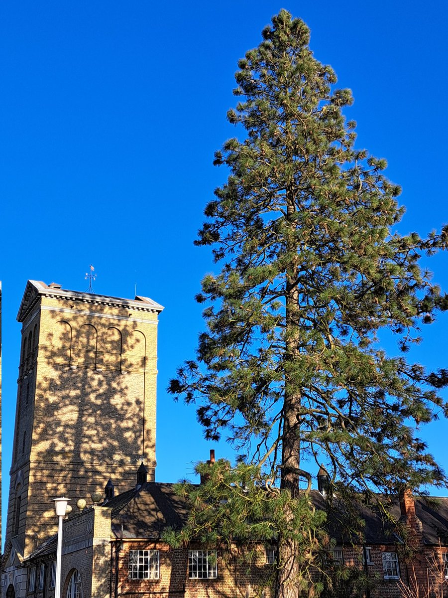 Glen the IHS Groundsman tweet media
