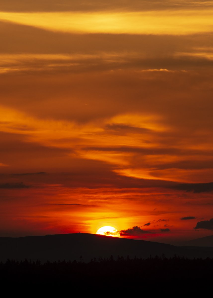 Rise and Shine 

The Photo that almost made me go blind