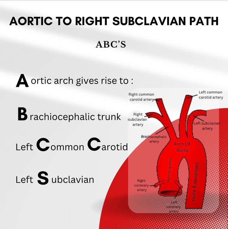International Fraternity of Medical Students tweet media